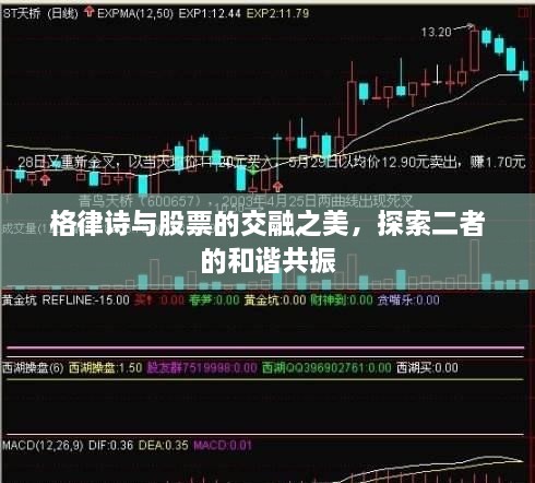 格律詩與股票的交融之美，探索二者的和諧共振