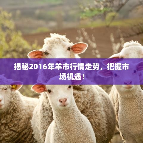 揭秘2016年羊市行情走勢，把握市場機(jī)遇！