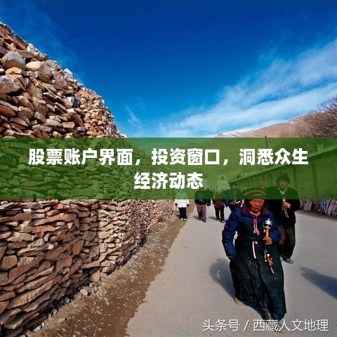 股票賬戶界面，投資窗口，洞悉眾生經(jīng)濟動態(tài)