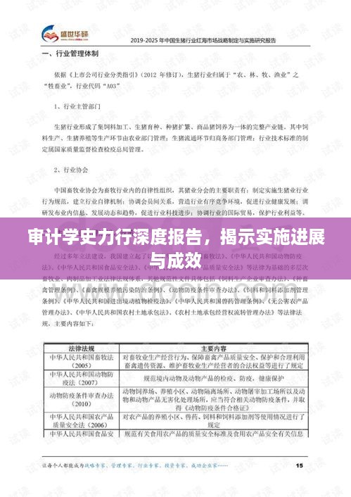 審計學(xué)史力行深度報告，揭示實施進(jìn)展與成效