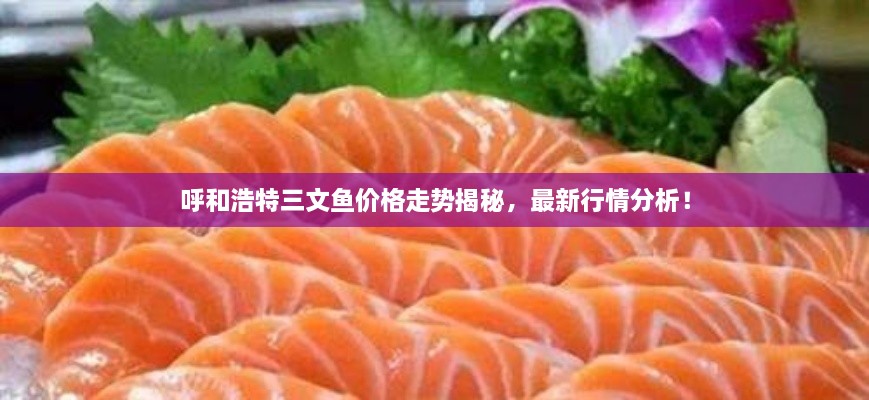 呼和浩特三文魚價(jià)格走勢(shì)揭秘，最新行情分析！