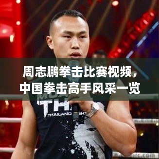 周志鵬拳擊比賽視頻，中國拳擊高手風(fēng)采一覽