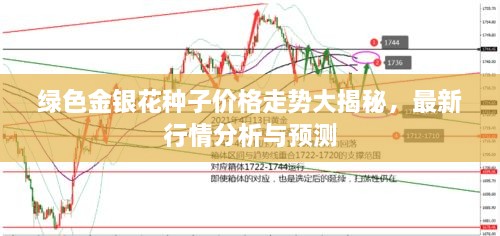 綠色金銀花種子價(jià)格走勢(shì)大揭秘，最新行情分析與預(yù)測(cè)