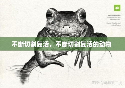 不斷切割復活，不斷切割復活的動物 