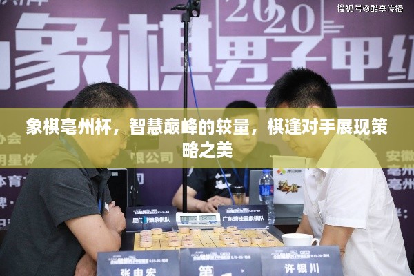 象棋亳州杯，智慧巔峰的較量，棋逢對手展現(xiàn)策略之美