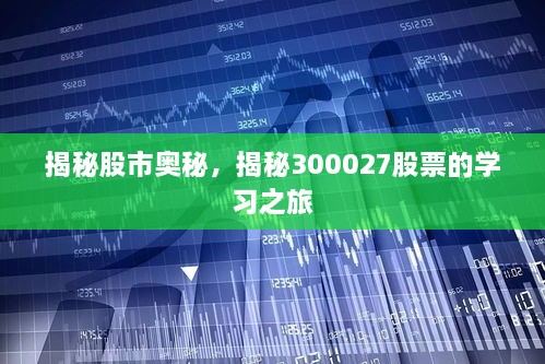 揭秘股市奧秘，揭秘300027股票的學(xué)習(xí)之旅