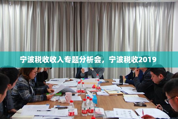 寧波稅收收入專題分析會，寧波稅收2019 