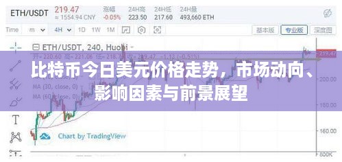 比特幣今日美元價(jià)格走勢(shì)，市場(chǎng)動(dòng)向、影響因素與前景展望