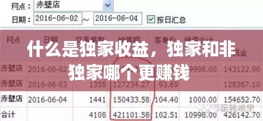 什么是獨(dú)家收益，獨(dú)家和非獨(dú)家哪個(gè)更賺錢(qián) 
