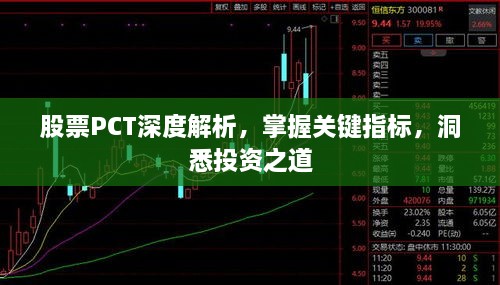 股票PCT深度解析，掌握關(guān)鍵指標(biāo)，洞悉投資之道