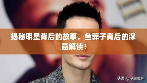 揭秘明星背后的故事，魚莽子背后的深意解讀！