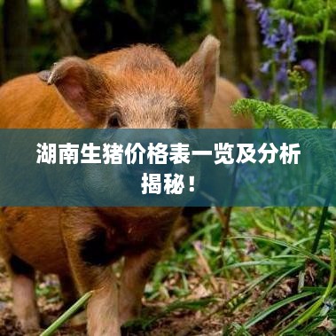 湖南生豬價格表一覽及分析揭秘！