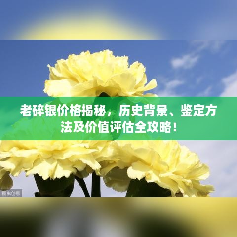 老碎銀價(jià)格揭秘，歷史背景、鑒定方法及價(jià)值評(píng)估全攻略！