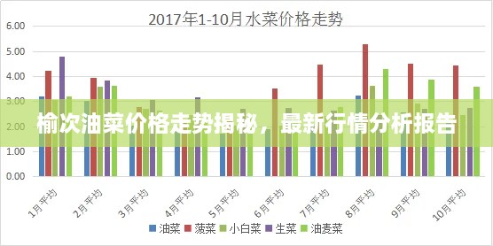 榆次油菜價格走勢揭秘，最新行情分析報告