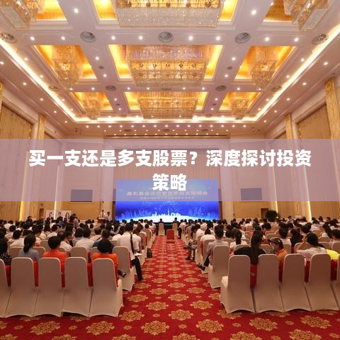 買(mǎi)一支還是多支股票？深度探討投資策略