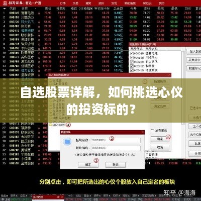 自選股票詳解，如何挑選心儀的投資標(biāo)的？