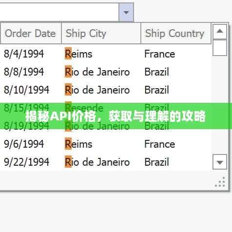 揭秘API價(jià)格，獲取與理解的攻略