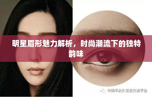 明星眉形魅力解析，時尚潮流下的獨(dú)特韻味
