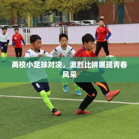 2025年1月 第344頁