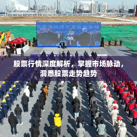 股票行情深度解析，掌握市場脈動，洞悉股票走勢趨勢