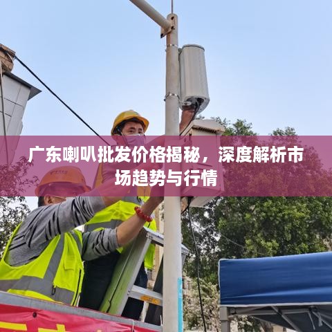 廣東喇叭批發(fā)價格揭秘，深度解析市場趨勢與行情
