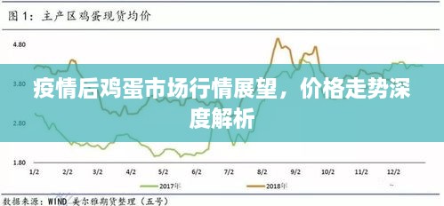 疫情后雞蛋市場行情展望，價格走勢深度解析