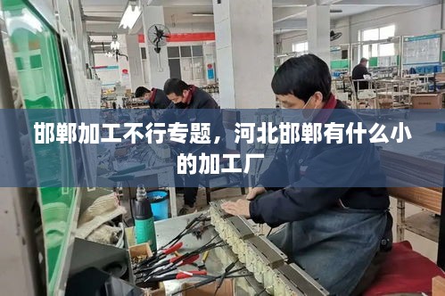 邯鄲加工不行專題，河北邯鄲有什么小的加工廠 