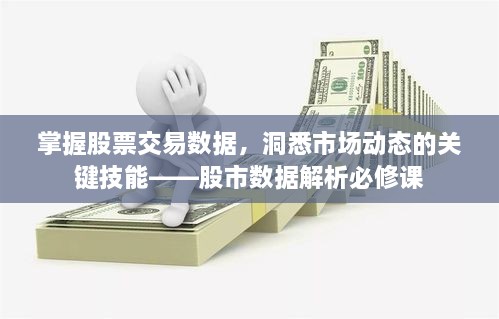 掌握股票交易數(shù)據(jù)，洞悉市場(chǎng)動(dòng)態(tài)的關(guān)鍵技能——股市數(shù)據(jù)解析必修課
