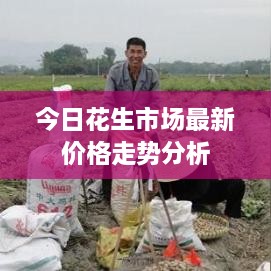 2025年1月 第320頁(yè)