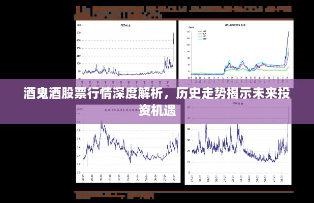 酒鬼酒股票行情深度解析，歷史走勢(shì)揭示未來投資機(jī)遇