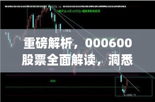 重磅解析，000600股票全面解讀，洞悉投資趨勢(shì)！