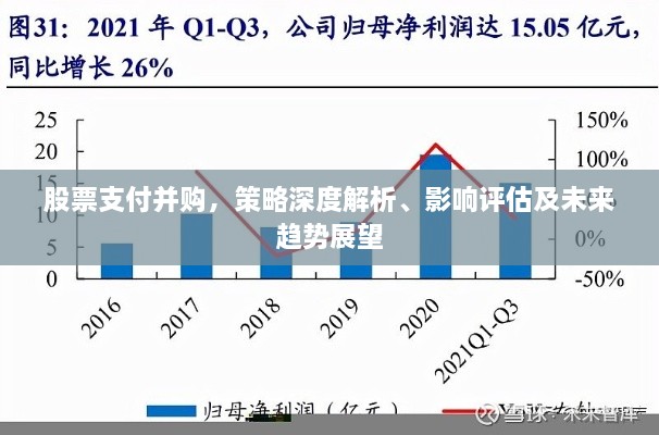股票支付并購，策略深度解析、影響評(píng)估及未來趨勢(shì)展望