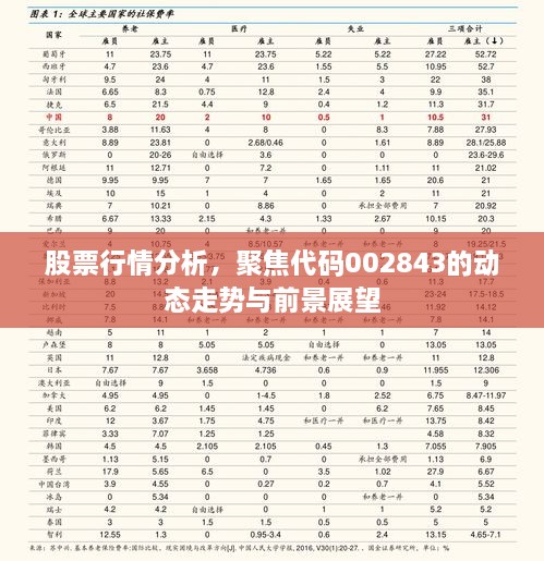 股票行情分析，聚焦代碼002843的動態(tài)走勢與前景展望