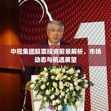 中視集團(tuán)股票投資前景解析，市場動態(tài)與機(jī)遇展望
