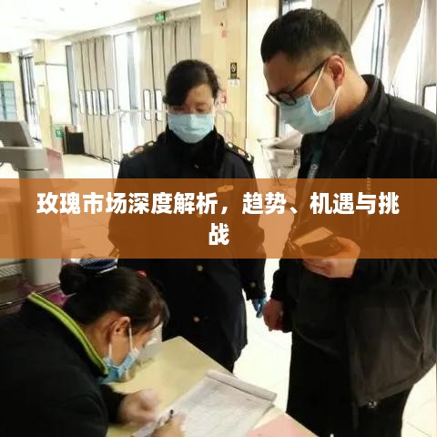 玫瑰市場深度解析，趨勢、機遇與挑戰(zhàn)