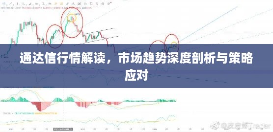 通達(dá)信行情解讀，市場(chǎng)趨勢(shì)深度剖析與策略應(yīng)對(duì)