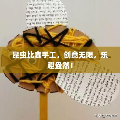 昆蟲比賽手工，創(chuàng)意無限，樂趣盎然！