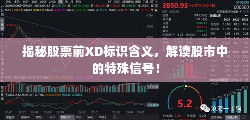 揭秘股票前XD標(biāo)識(shí)含義，解讀股市中的特殊信號(hào)！