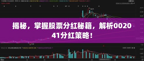 揭秘，掌握股票分紅秘籍，解析002041分紅策略！