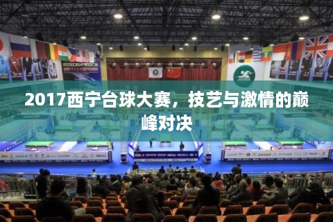 2017西寧臺球大賽，技藝與激情的巔峰對決