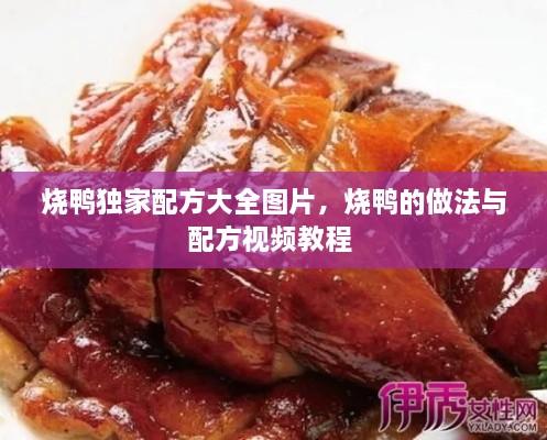 燒鴨獨(dú)家配方大全圖片，燒鴨的做法與配方視頻教程 