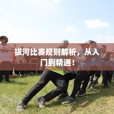 拔河比賽規(guī)則解析，從入門到精通！