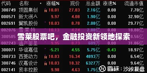 雪萊股票吧，金融投資新領(lǐng)地探索