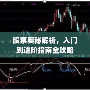 股票奧秘解析，入門到進階指南全攻略