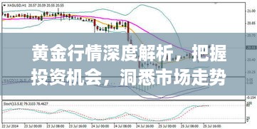 黃金行情深度解析，把握投資機(jī)會，洞悉市場走勢