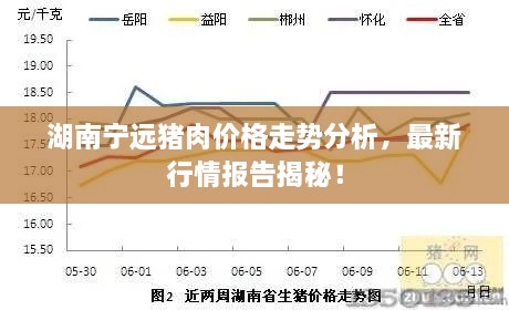 湖南寧遠豬肉價格走勢分析，最新行情報告揭秘！