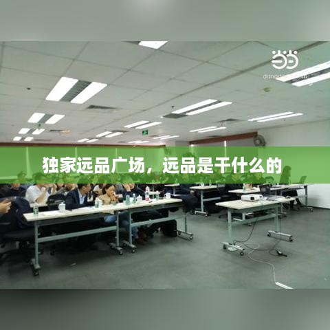 獨家遠品廣場，遠品是干什么的 