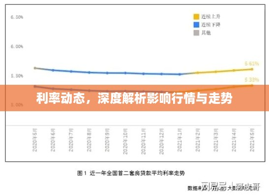 利率動態(tài)，深度解析影響行情與走勢