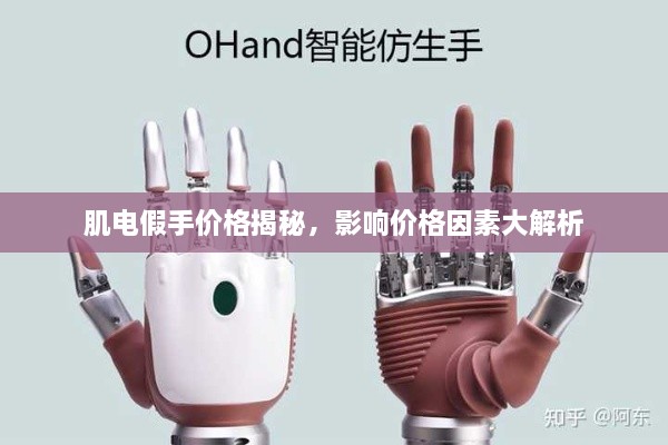 肌電假手價(jià)格揭秘，影響價(jià)格因素大解析