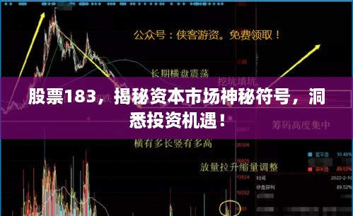 股票183，揭秘資本市場神秘符號，洞悉投資機遇！